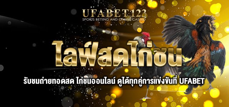 ไลฟ์สดไก่ชน